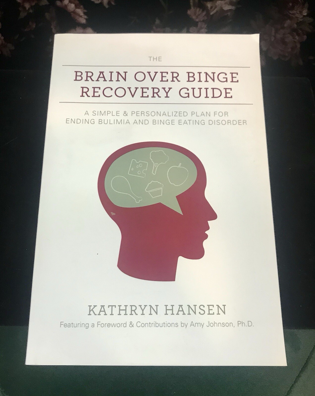 The Brain Over Binge Recovery Guide By Kathryn Hansen 2016