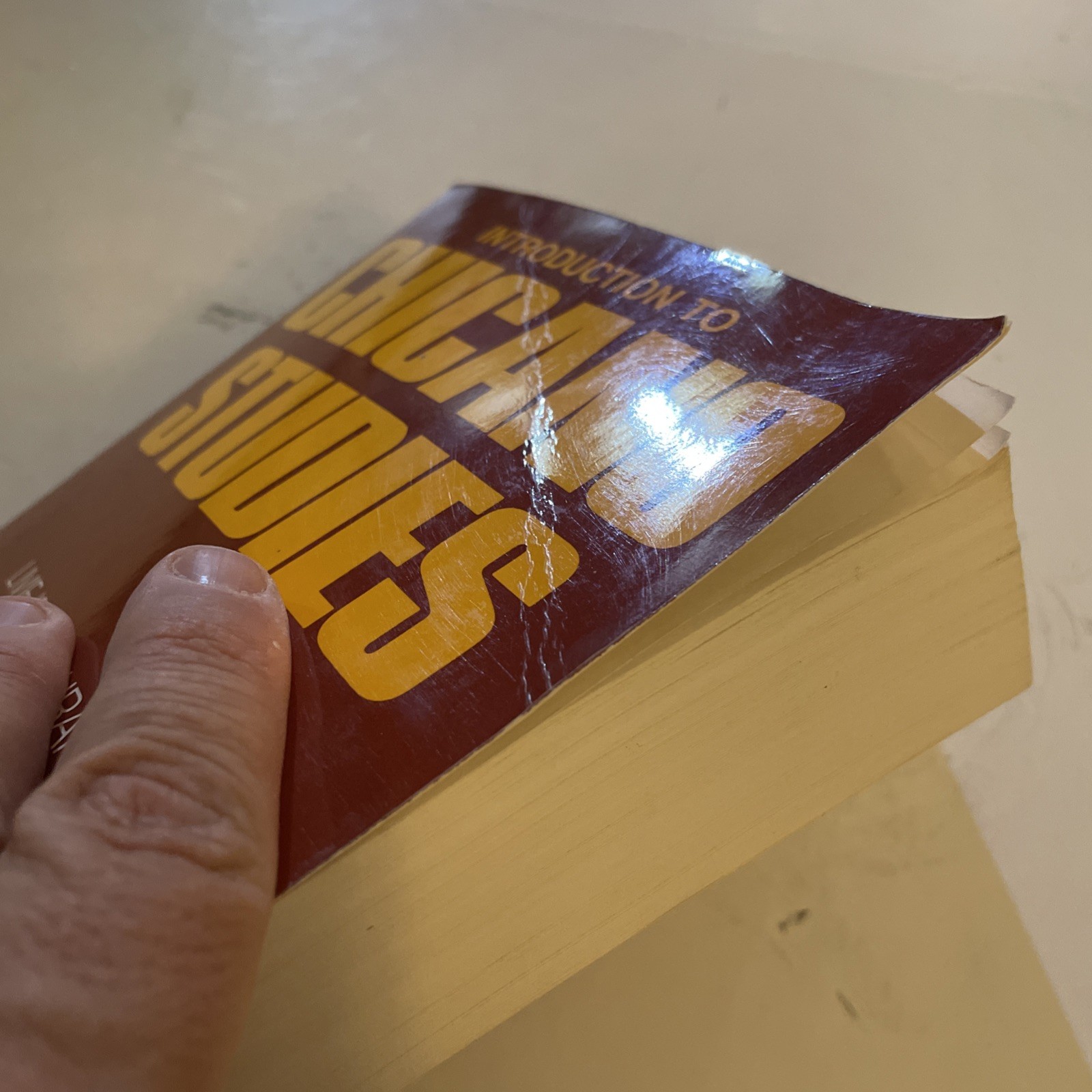 introduction to chicano studies book livie isauro duran 1973