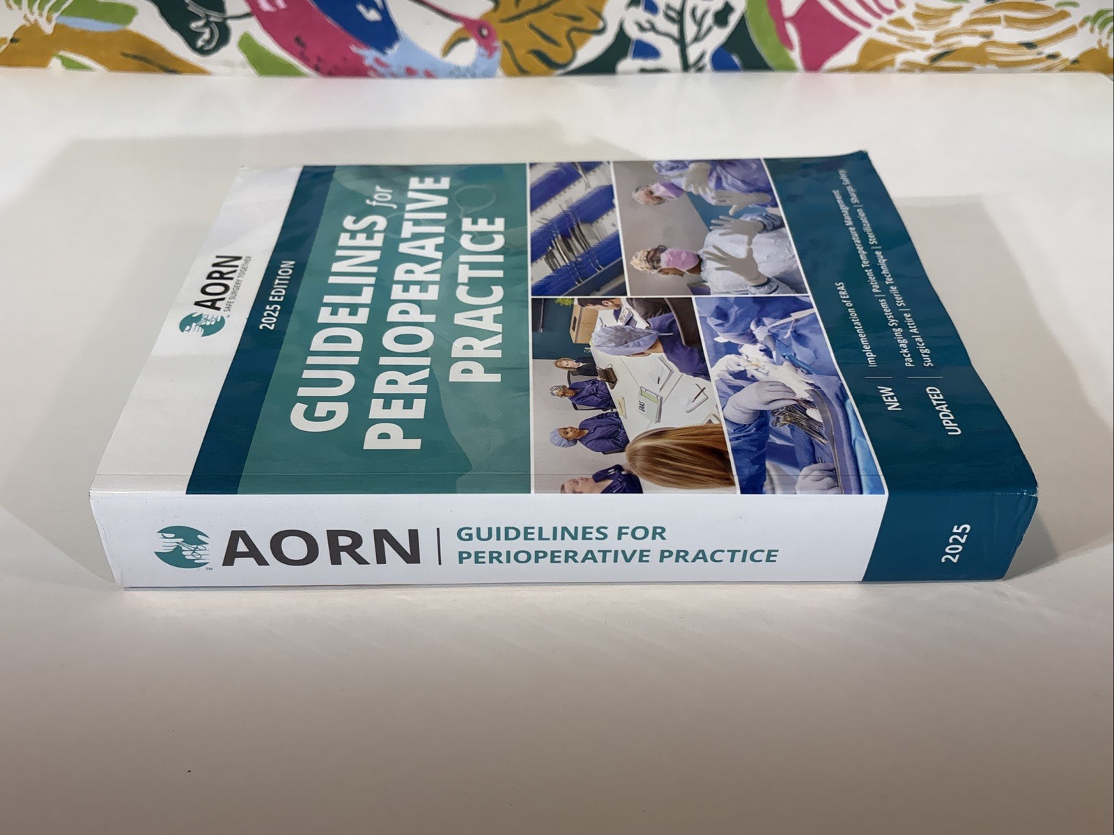 AORN Guidelines For Perioperative Practice 2025 Edition Book